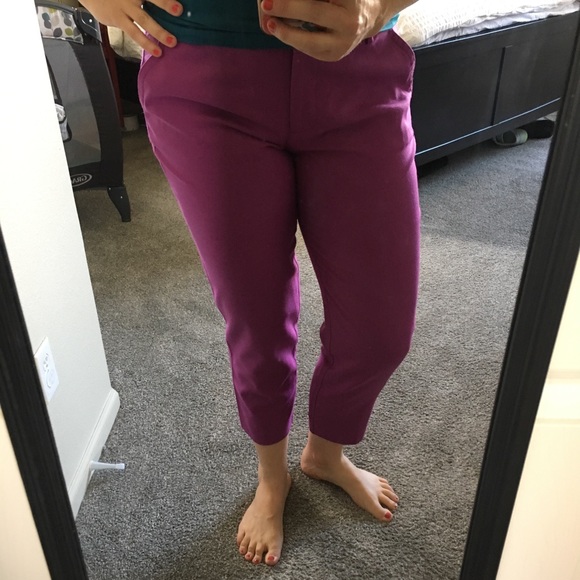 J Crew City Fit Womens Skimmer Pants 